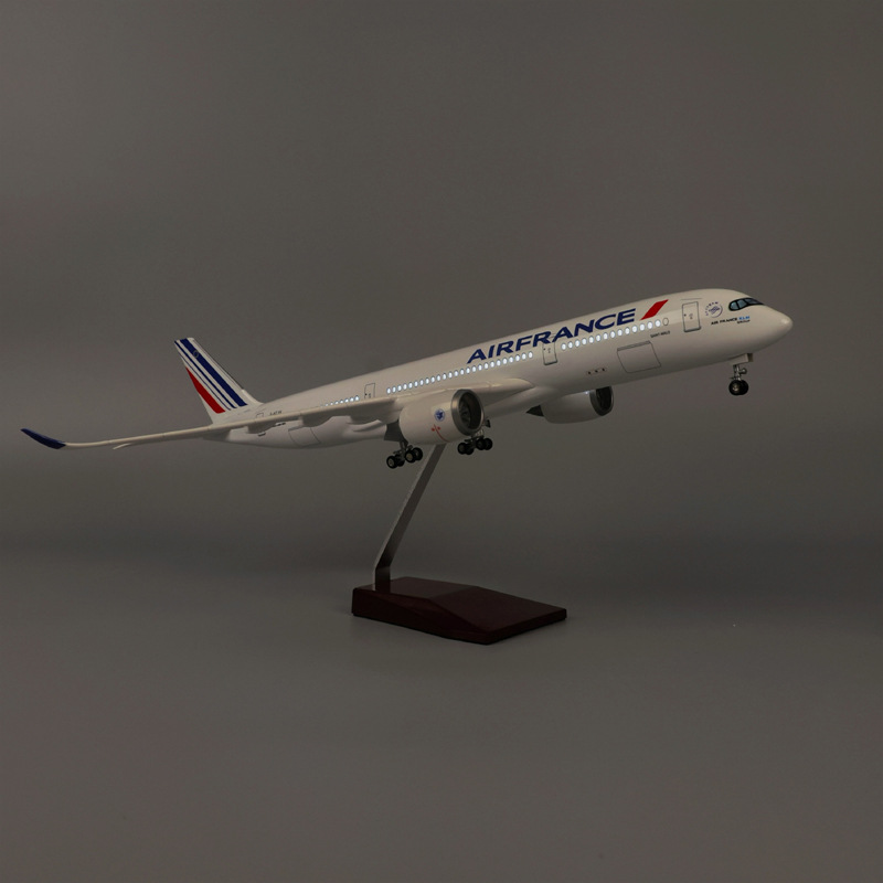 47cm Air France A350 Model Air - Model Kit Ikaruga ulasan dan harga